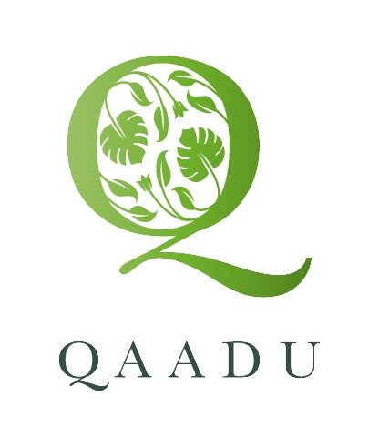 Best Digital Marketing Agency in Calicut, Kerala